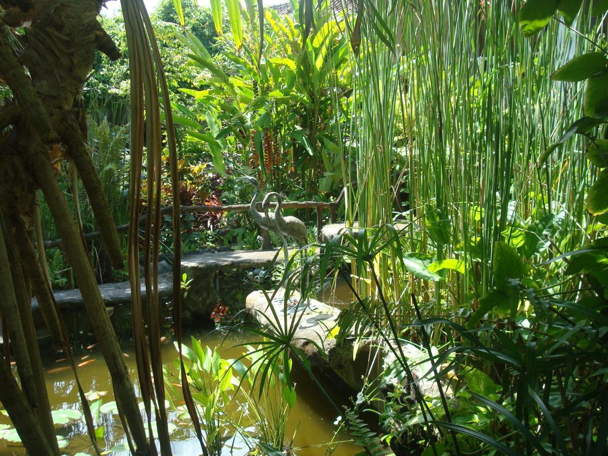 Villa Arjuna Seraya ภายนอก รูปภาพ